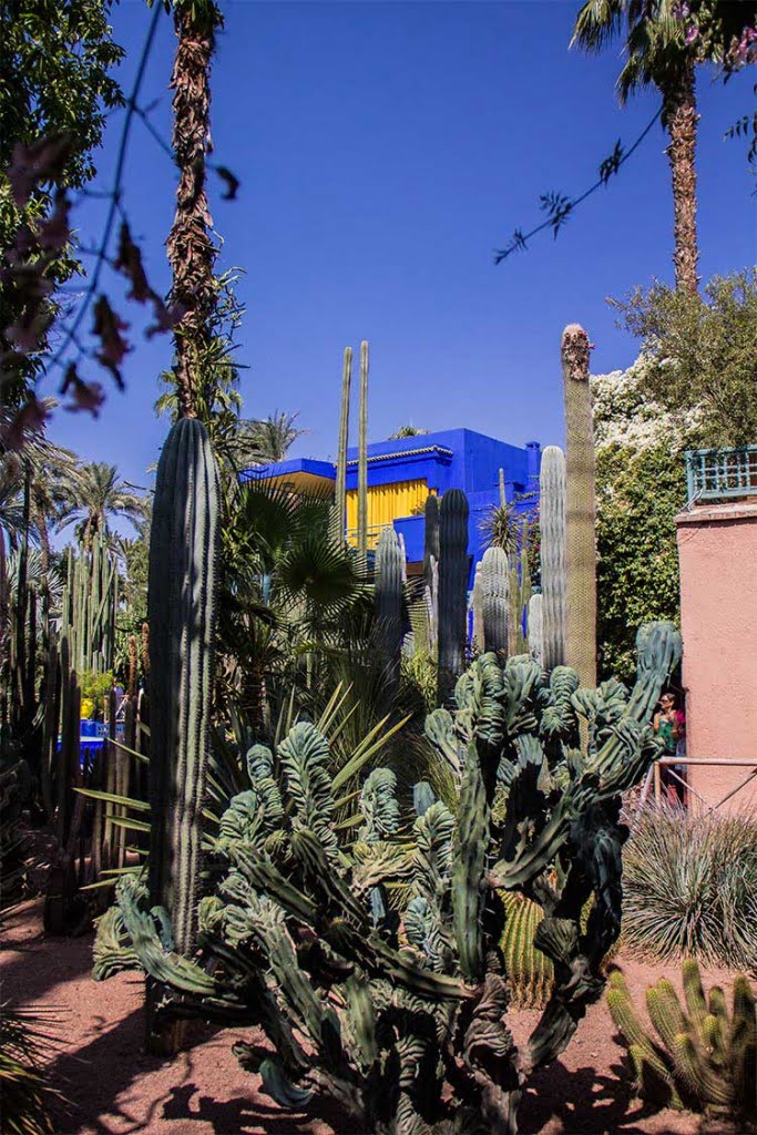 cactus-villa-oasis-majorelle-1