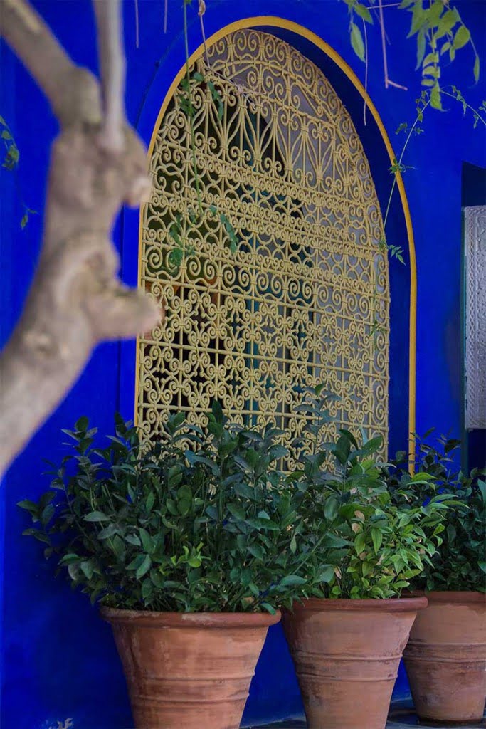 ouverture-fer-forge-jardin-majorelle